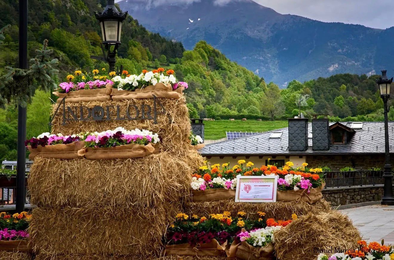 Image de Marché des plantes et des fleurs