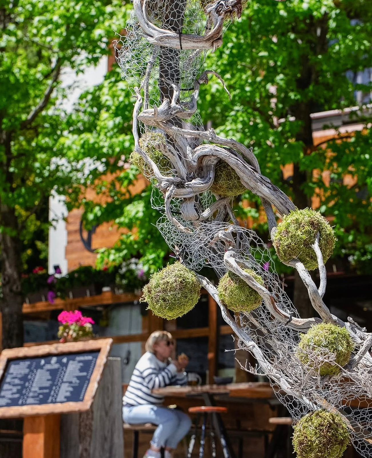 Image de Restaurants de La Massana