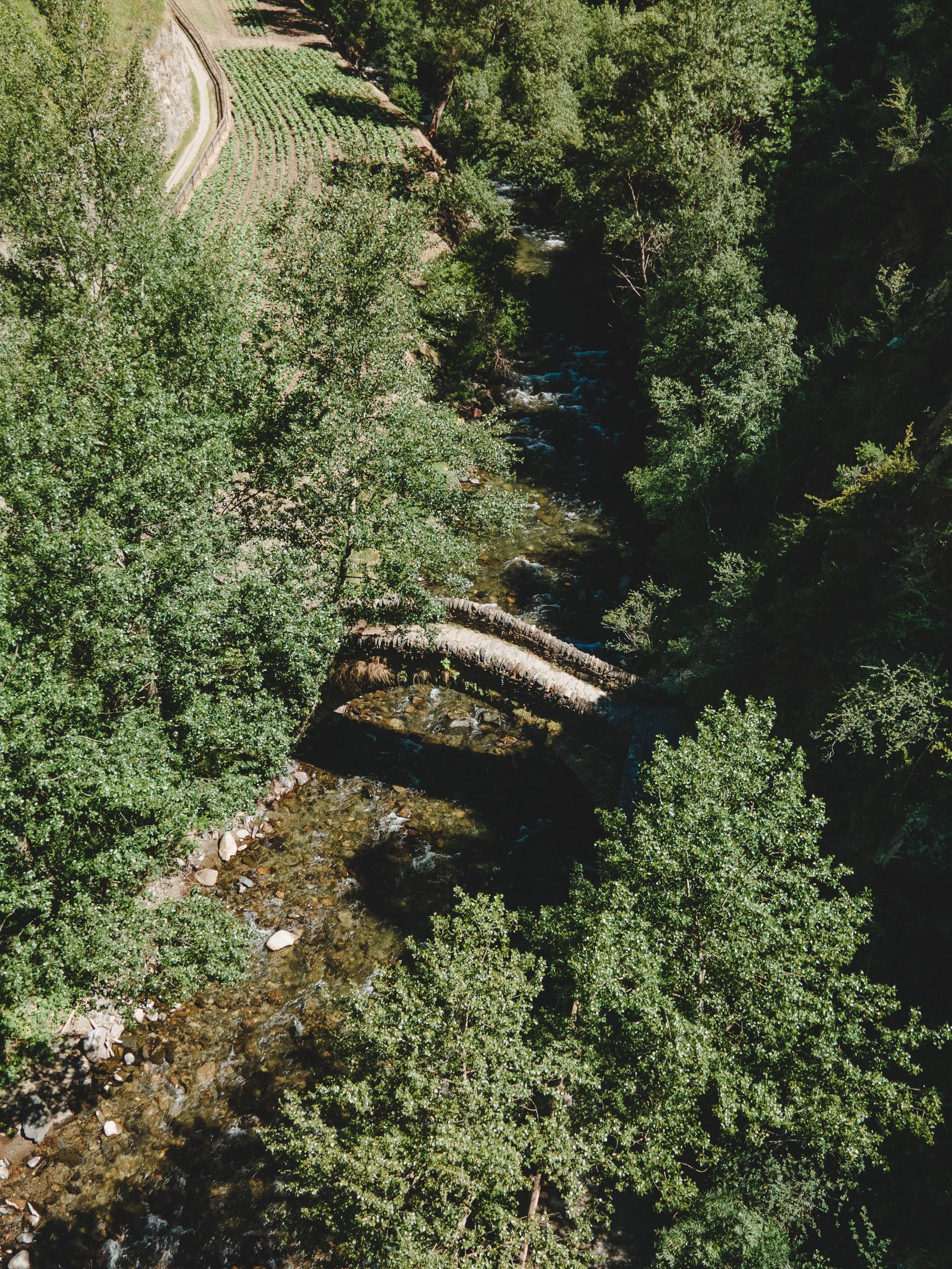 Image gallery of Pont de Sant Antoni