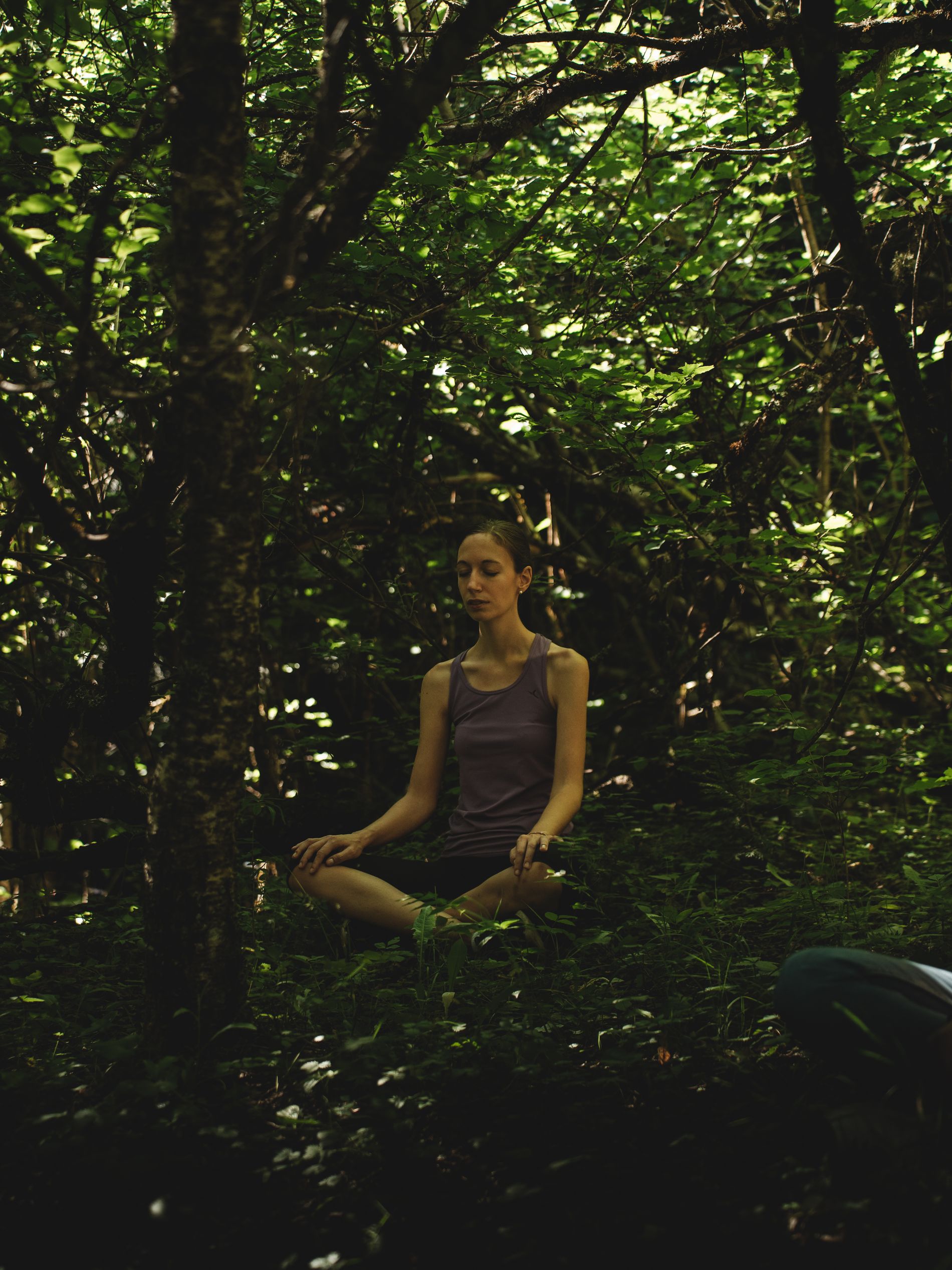 Image gallery of Banys de Bosc