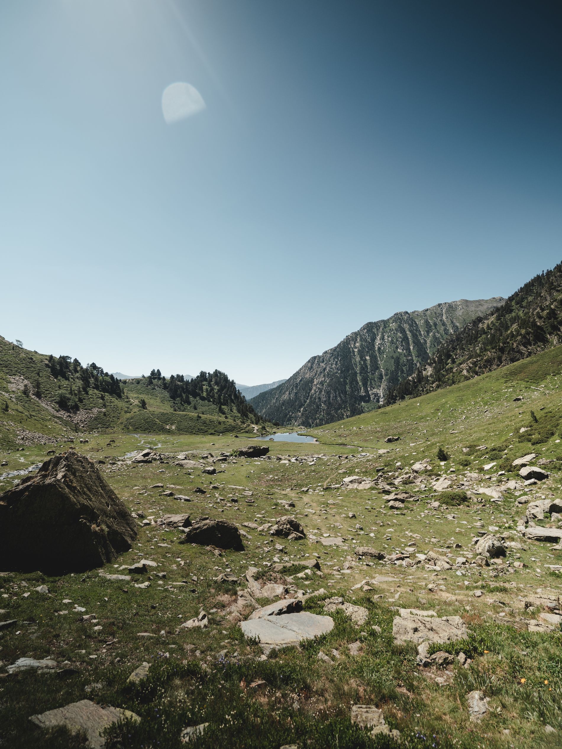 Image gallery of Pla de l'Estany Refuge