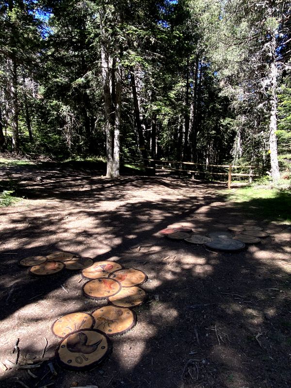 Galeria d'imatges de la ruta Bosc dels Menairons