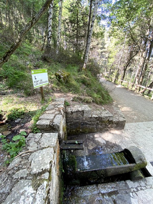 Image gallery of track Tamarro d'Escaldes-Engordany