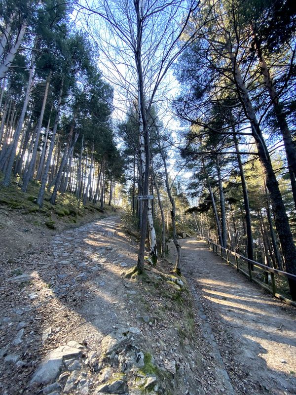Image gallery of track Tamarro d'Escaldes-Engordany