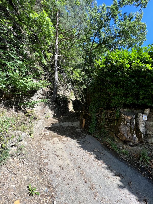Track image