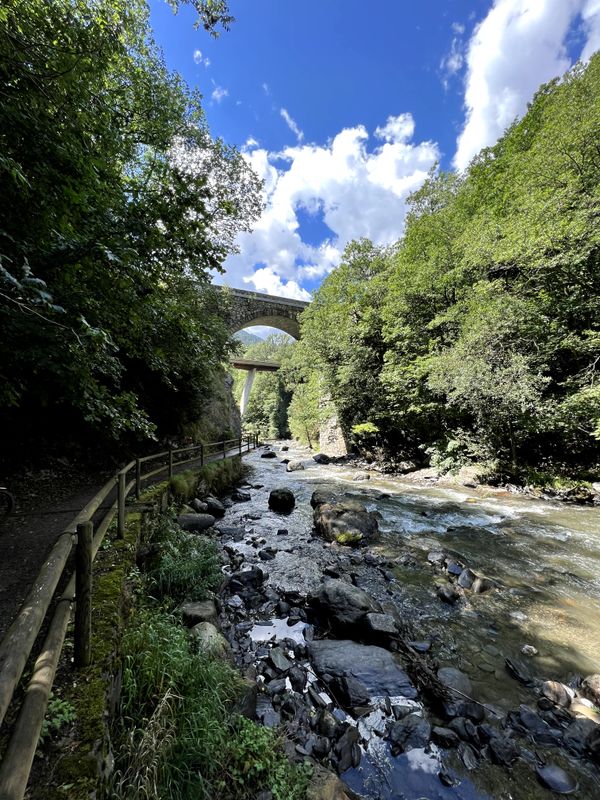 Track image
