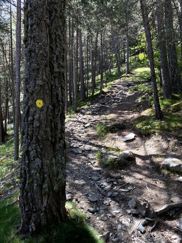 Image gallery of track Sispony per la Massana