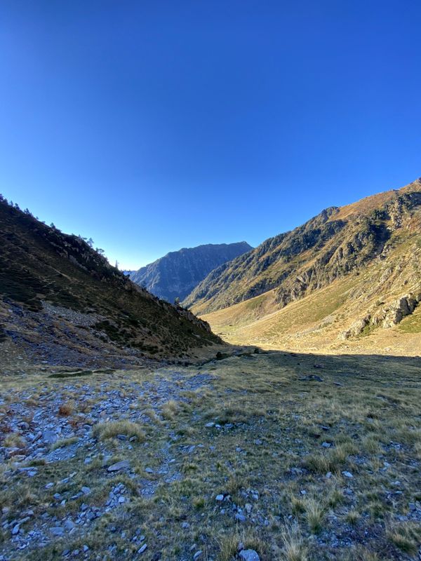 Imagen del carrusel