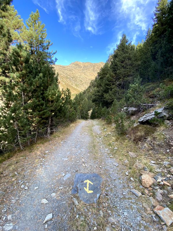 Galería de imágenes de la ruta Refugio del Pla de l'Estany
