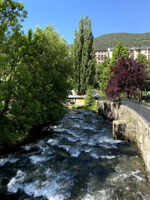 Imagen del carrusel