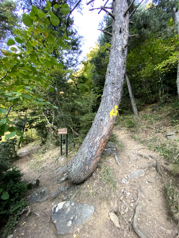 Imagen de ruta