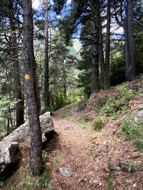 Galería de imágenes de la ruta Refugio del Comapedrosa y Estany de les Truites
