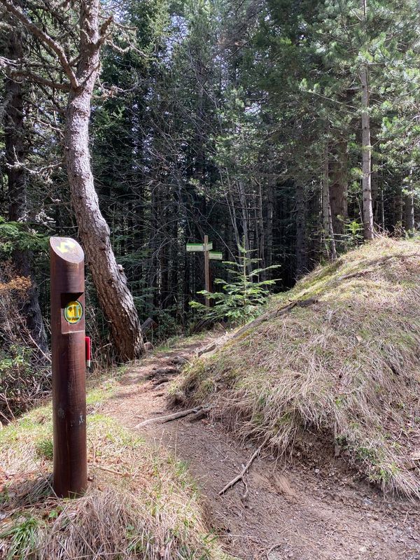Image gallery of track Bony de les Neres