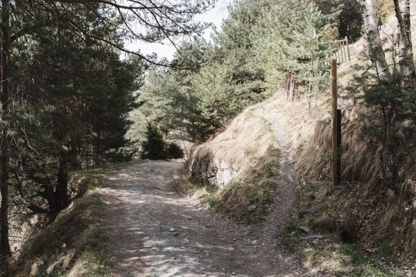 Image gallery of track Ruta dels Miradors d'Ordino al Turer