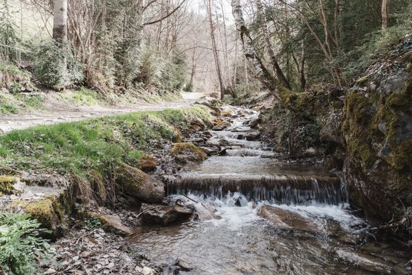 Image gallery of track Ruta dels Miradors d'Ordino al Turer