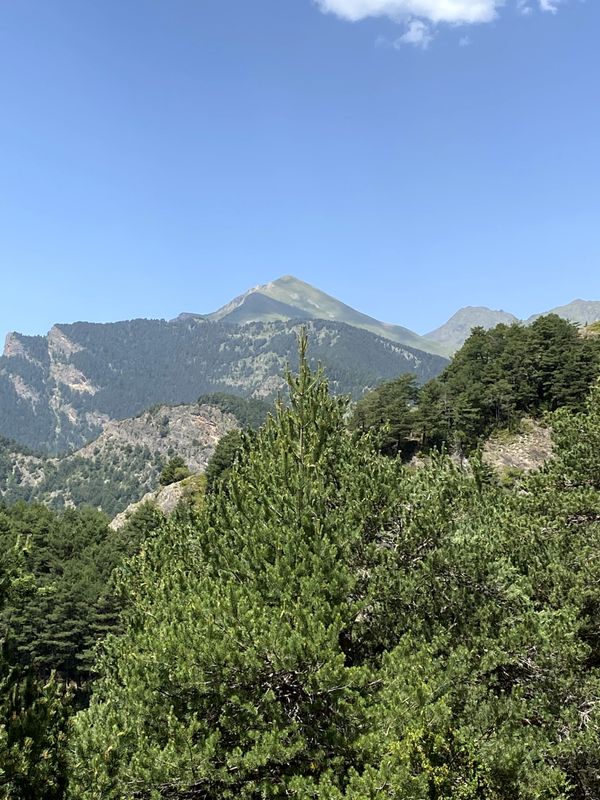 Image gallery of track Roc de la Cauba per Collet dels Colls