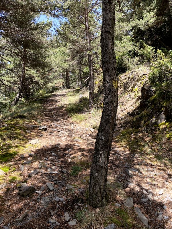 Image gallery of track Roc de la Cauba per Collet dels Colls