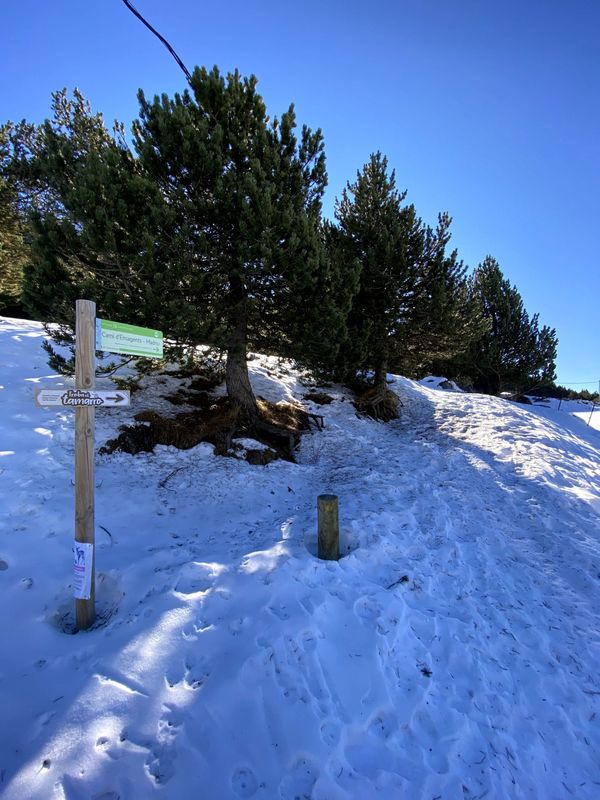 Image gallery of track Tamarro d'Encamp