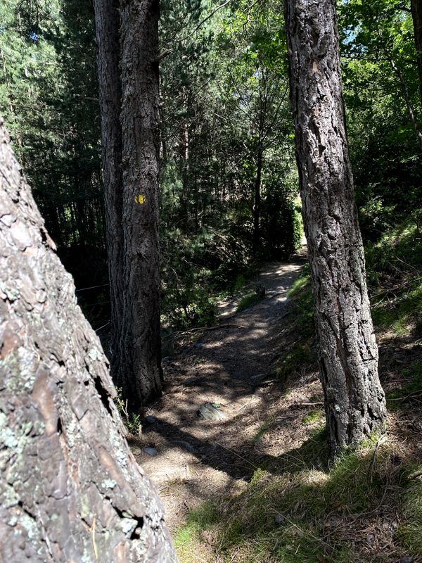 Imagen de ruta