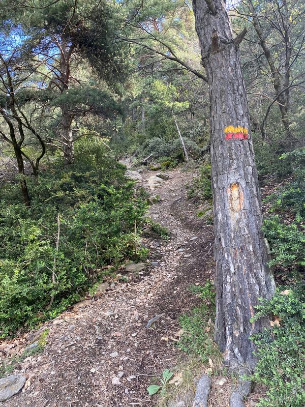 Galería de imágenes de la ruta Camí de Juberri a la Rabassa