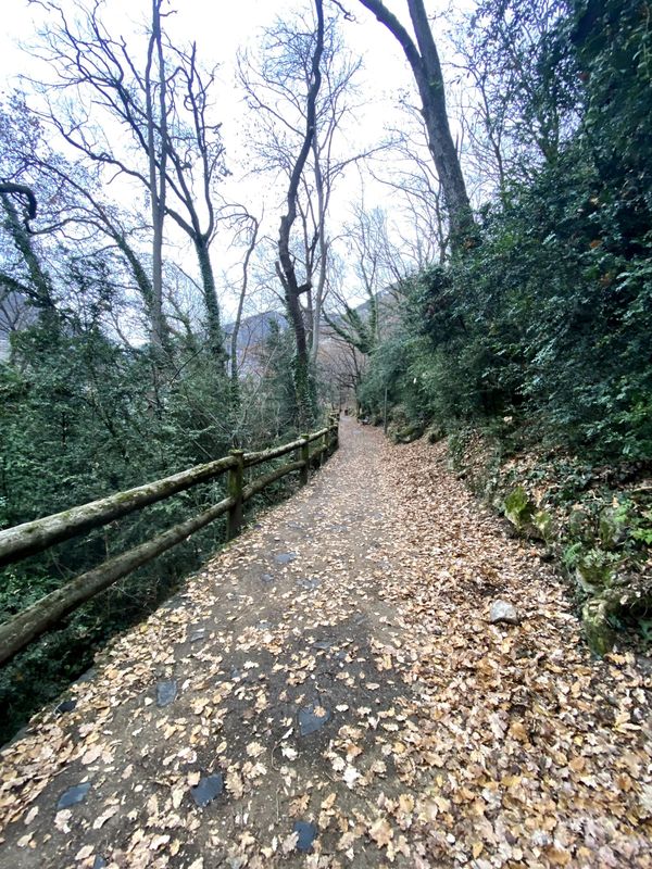 Galeria d'imatges de la ruta Rec de l'Obac part alta d'Andorra la Vella