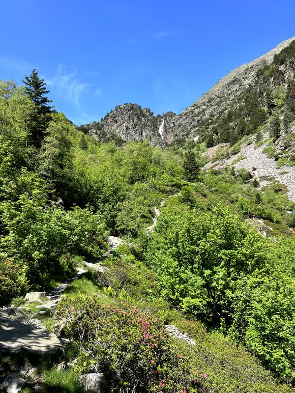 Galeria d'imatges de la ruta L'Alt de Comapedrosa