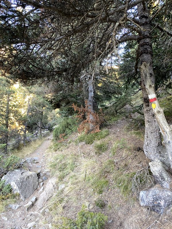 Imagen del carrusel